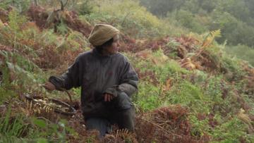 Visuel - La Terre du milieu