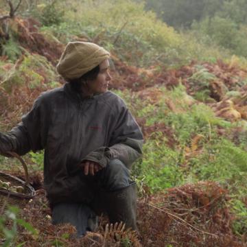 Visuel - La Terre du milieu